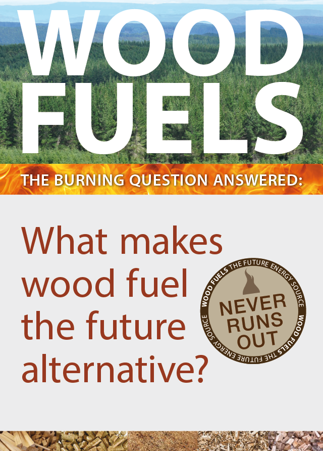 Wood Fuels what makes wood fuel the future alternative? Use Wood